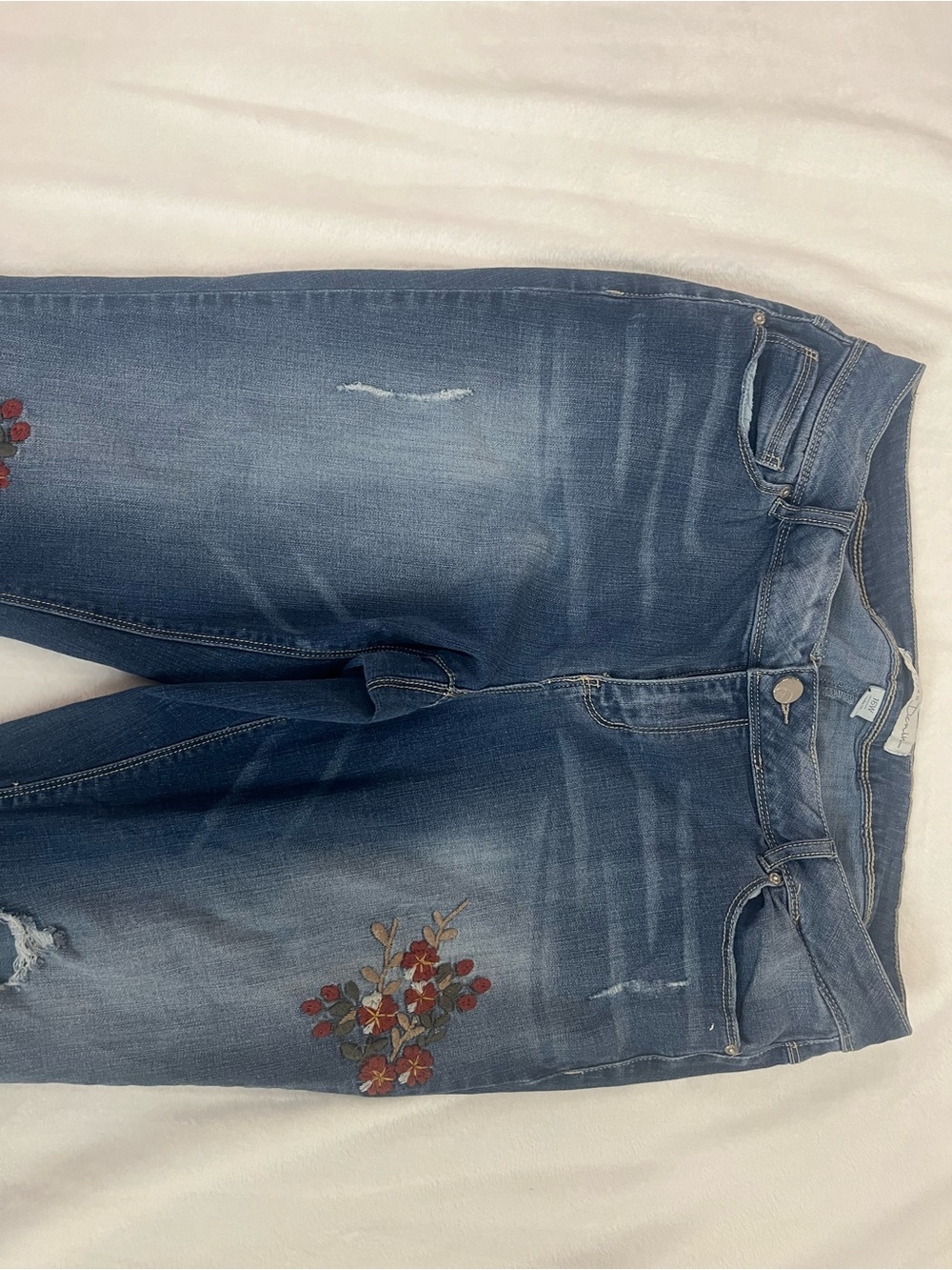 Embroidered Skinny Jeans in Faded Blue for Women